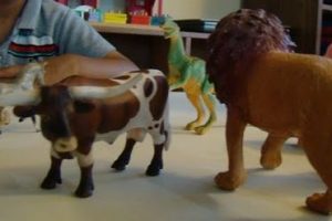 Land animals