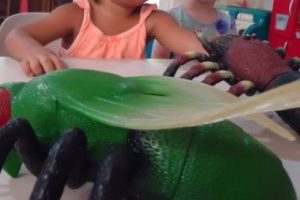 Learning about bugs life