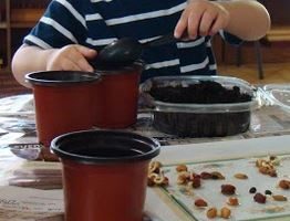 Lessons in Planting