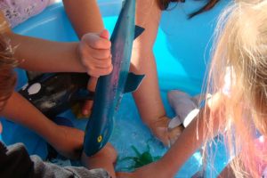Lessons in marine life